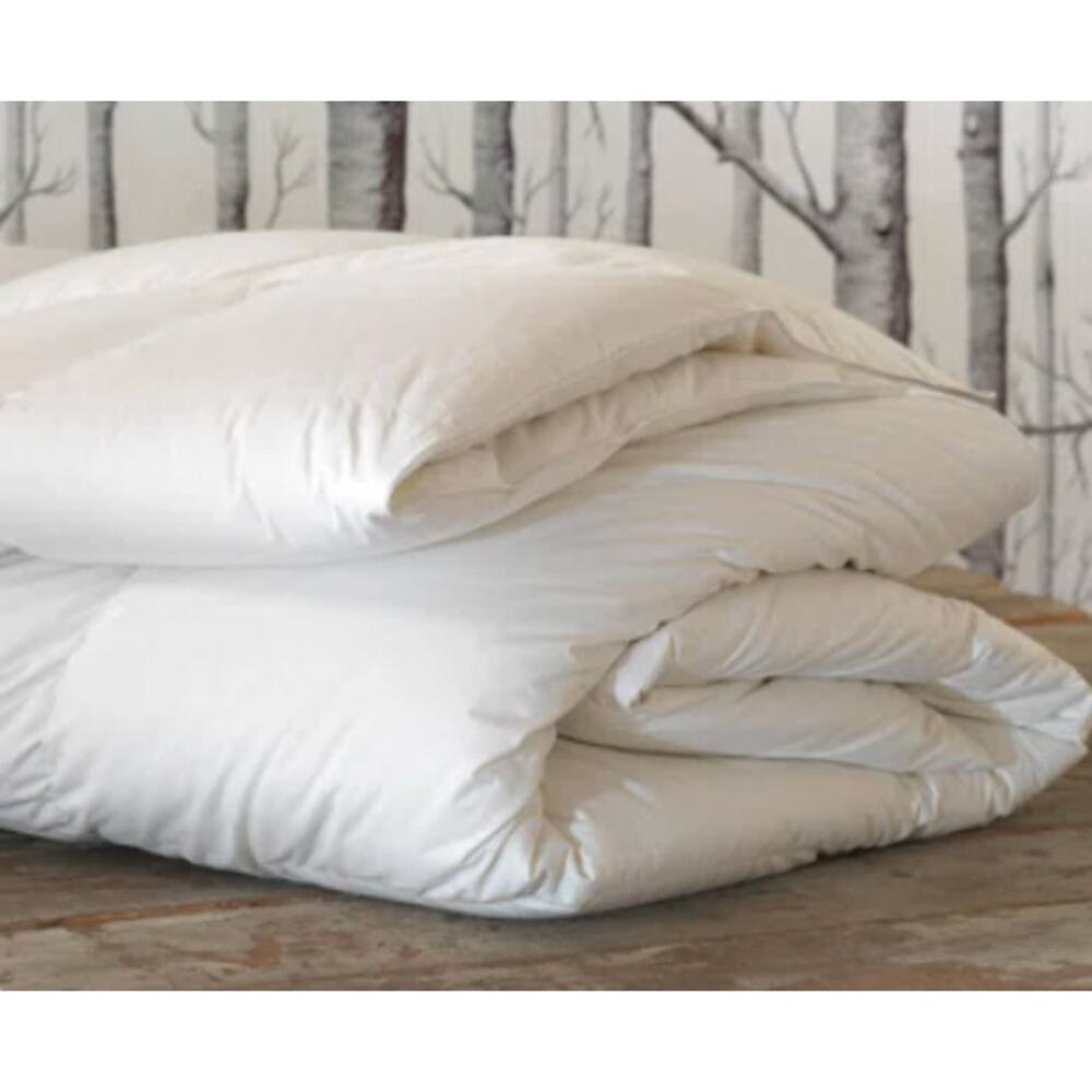 De Medici by Eastern Accents Down Comforter Insert Queen